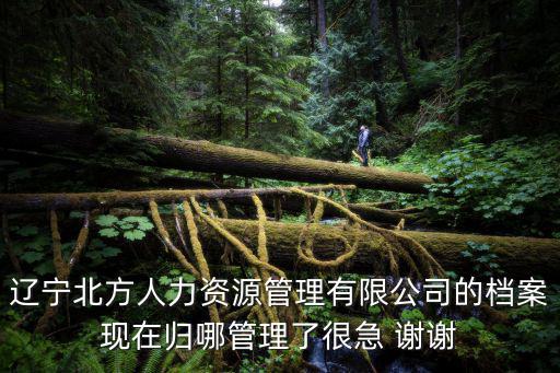 北方人力資源，遼寧北方人力資源管理有限公司的檔案現(xiàn)在歸哪管理了很急 謝謝