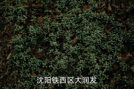 沈陽鐵西區大潤發