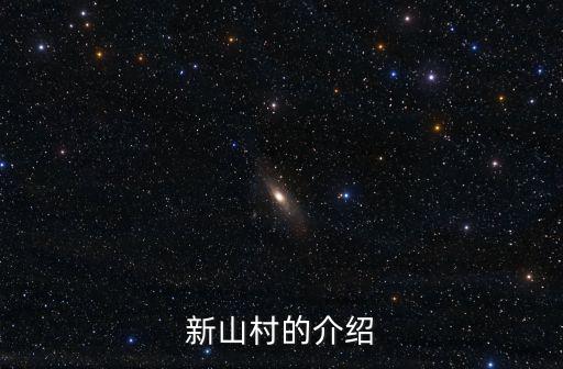 新山村的介紹