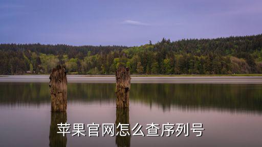 蘋果官網怎么查序列號