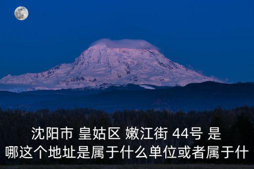 沈陽市 皇姑區(qū) 嫩江街 44號 是哪這個地址是屬于什么單位或者屬于什