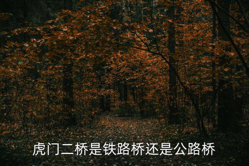 虎門二橋，虎門二橋是鐵路橋還是公路橋