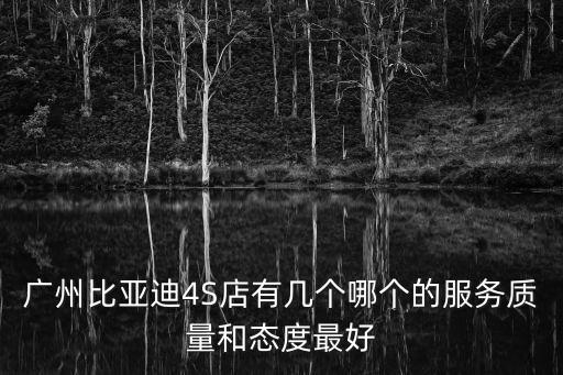 廣州比亞迪4S店有幾個哪個的服務(wù)質(zhì)量和態(tài)度最好