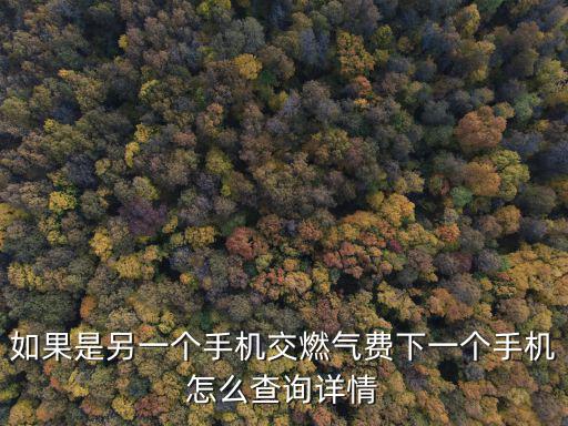 如果是另一個手機交燃氣費下一個手機怎么查詢詳情