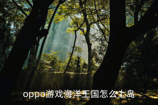 oppo游戲海洋王國(guó)怎么上島