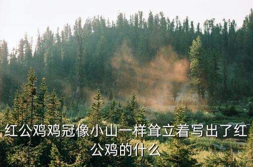 紅公雞，紅公雞的品種名稱和圖片