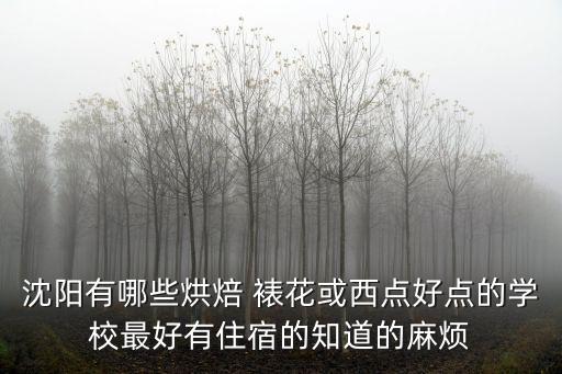 沈陽烘焙，沈陽有哪些烘焙 裱花或西點好點的學校最好有住宿的知道的麻煩