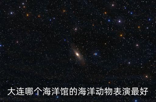 大連哪個海洋館的海洋動物表演最好