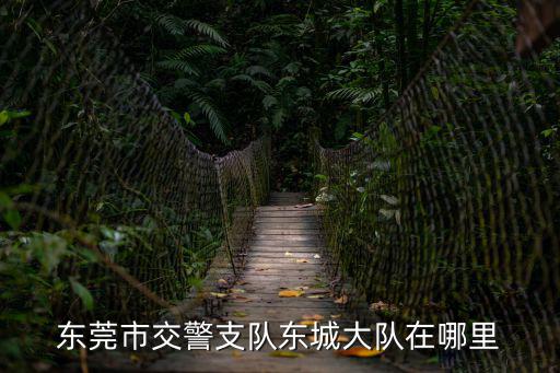 東莞市交警支隊東城大隊在哪里