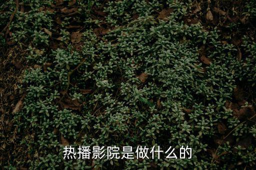 熱播影院是做什么的