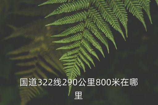 國道322線290公里800米在哪里