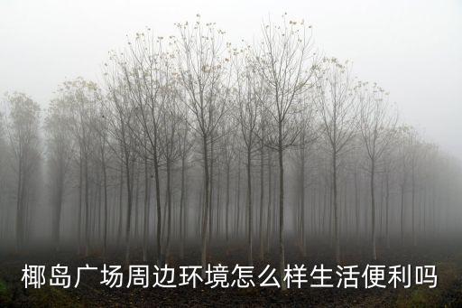 椰島廣場周邊環境怎么樣生活便利嗎