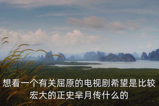 想看一個有關屈原的電視劇希望是比較宏大的正史羋月傳什么的