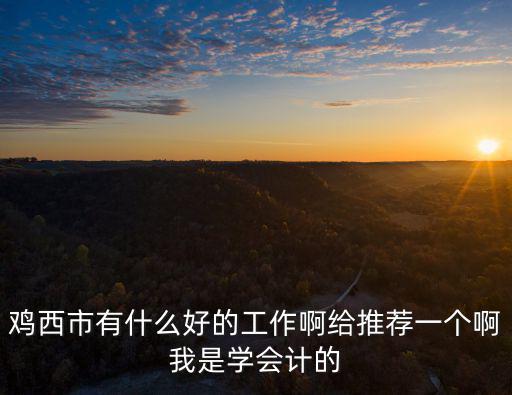 雞西市有什么好的工作啊給推薦一個(gè)啊我是學(xué)會(huì)計(jì)的