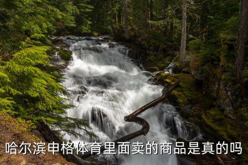 哈爾濱申格體育里面賣的商品是真的嗎