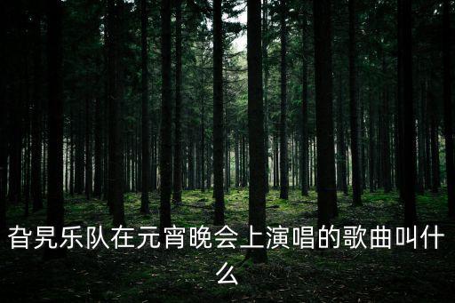 旮旯樂隊，旮旯樂隊在元宵晚會上演唱的歌曲叫什么