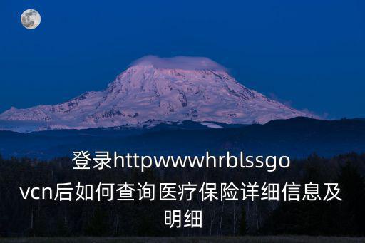 登錄httpwwwhrblssgovcn后如何查詢醫療保險詳細信息及明細