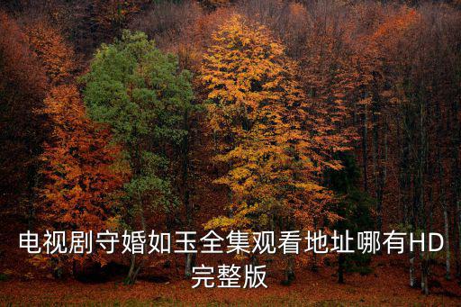 電視劇守婚如玉全集觀看地址哪有HD完整版
