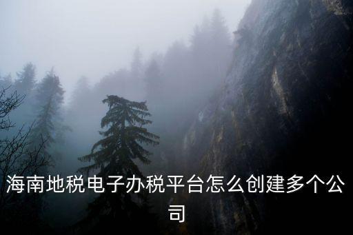 海南地稅電子辦稅平臺怎么創建多個公司