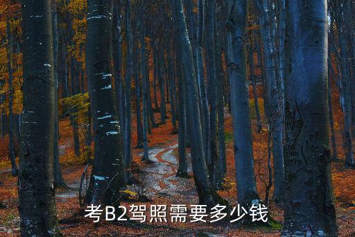 考B2駕照需要多少錢