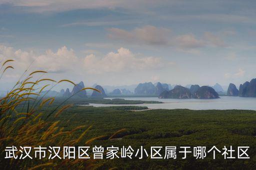 武漢市漢陽區曾家嶺小區屬于哪個社區