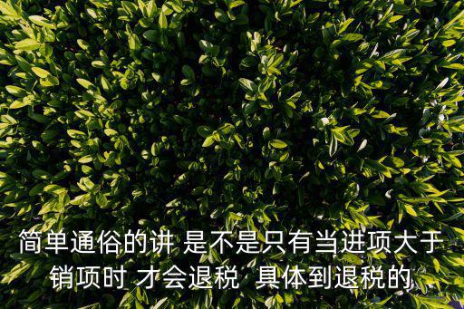 簡單通俗的講 是不是只有當進項大于銷項時 才會退稅  具體到退稅的