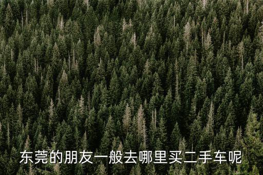 東莞的朋友一般去哪里買二手車呢