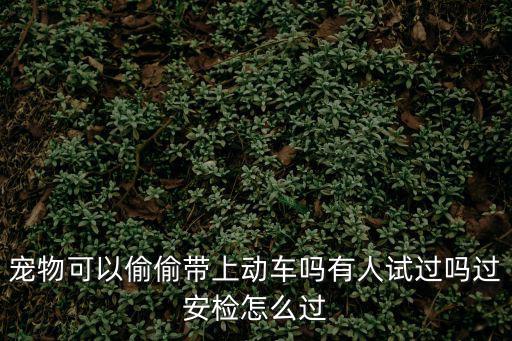 寵物可以偷偷帶上動車嗎有人試過嗎過安檢怎么過
