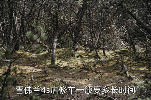 雪佛蘭4s店修車一般要多長時間