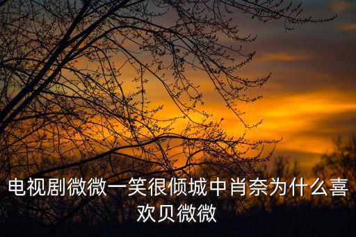 電視劇微微一笑很傾城中肖奈為什么喜歡貝微微