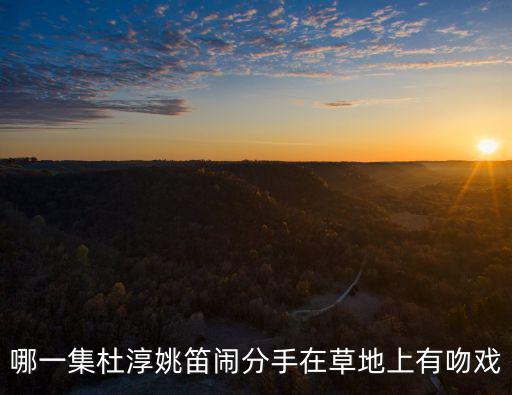 哪一集杜淳姚笛鬧分手在草地上有吻戲