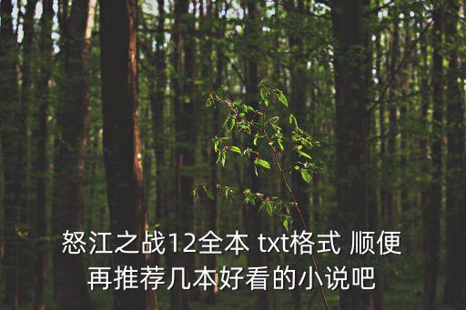 怒江之戰12全本 txt格式 順便再推薦幾本好看的小說吧