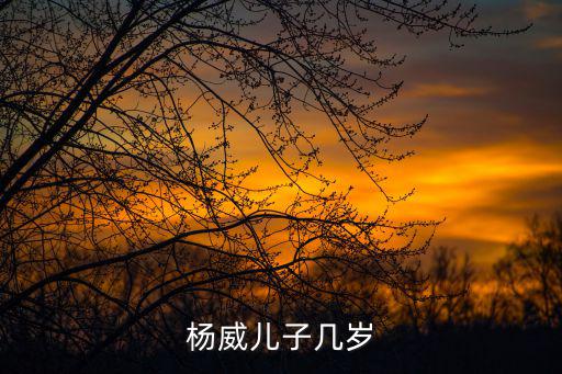 楊威兒子幾歲