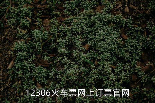 12306火車票網(wǎng)上訂票官網(wǎng)