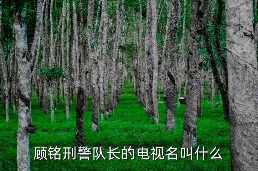 顧銘刑警隊長的電視名叫什么