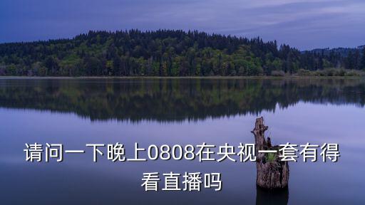 請問一下晚上0808在央視一套有得看直播嗎