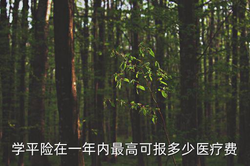學(xué)平險報銷范圍和額度，學(xué)平險保障范圍