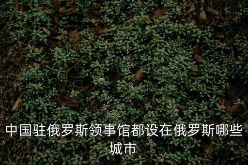 俄羅斯領事館，俄羅斯領事館在上海的地址