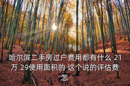 哈爾濱二手房過戶費用都有什么 21萬 29使用面積的 這個說的評估費怎