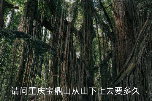 請問重慶寶鼎山從山下上去要多久