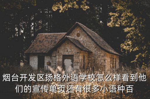 揚格外語學校，武漢揚格外語學校怎么樣啊