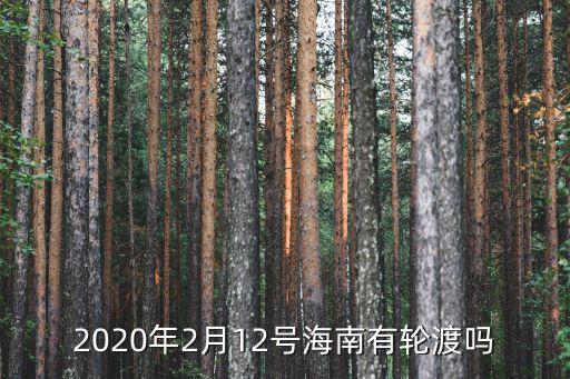 2020年2月12號海南有輪渡嗎