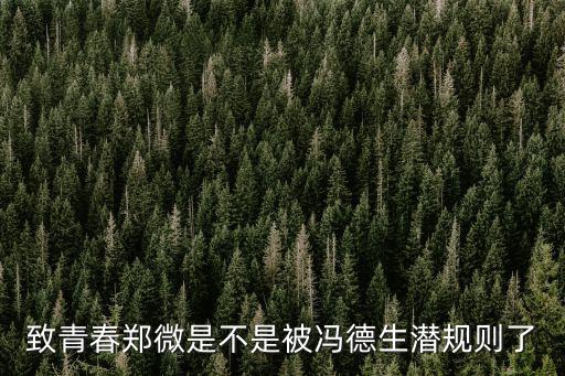 馮德生，致青春鄭微是不是被馮德生潛規(guī)則了