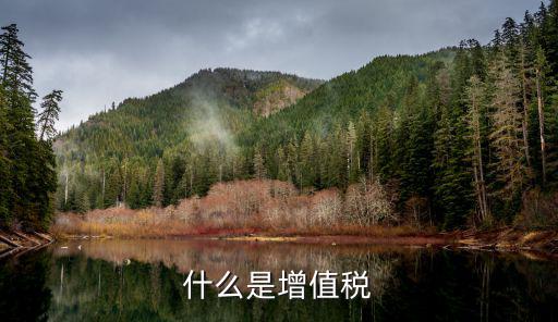 什么是增值稅
