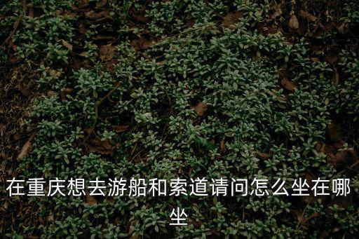 在重慶想去游船和索道請問怎么坐在哪坐