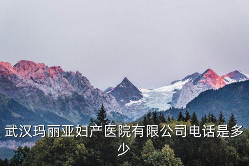 武漢瑪麗亞婦產醫院有限公司電話是多少
