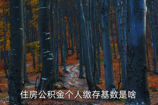 住房公積金個人繳存基數是啥