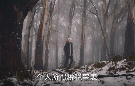 個人稅率表，個人所得稅稅率表