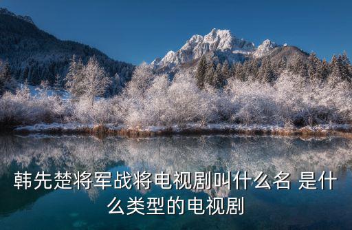 韓先楚將軍戰將電視劇叫什么名 是什么類型的電視劇
