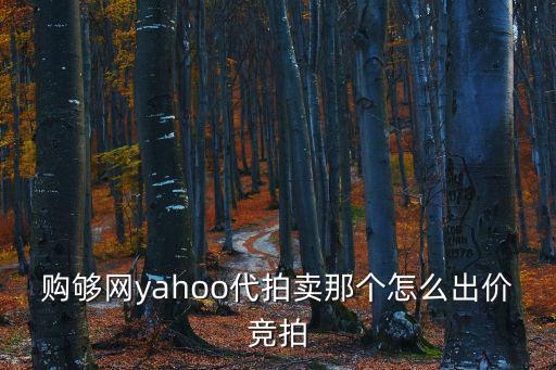 購夠網(wǎng)yahoo代拍賣那個(gè)怎么出價(jià)競(jìng)拍